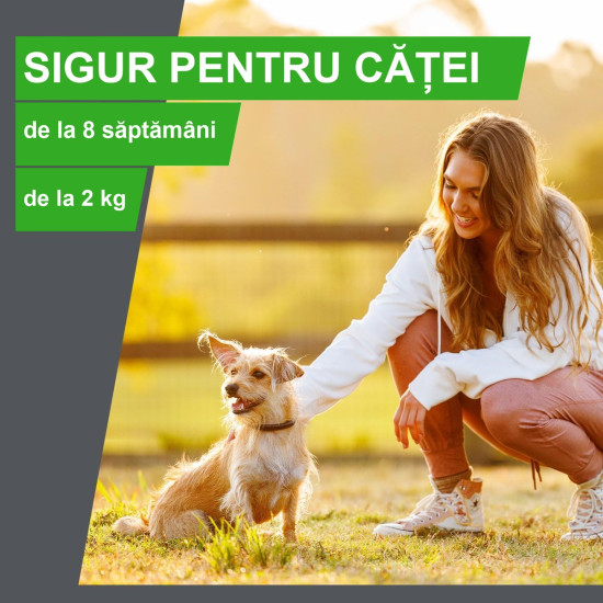 Frontline Combo Spot-On L – Soluție Antiparazitară Externă pentru Câini de Talie Mare (20–40 kg) – 3 Pipete